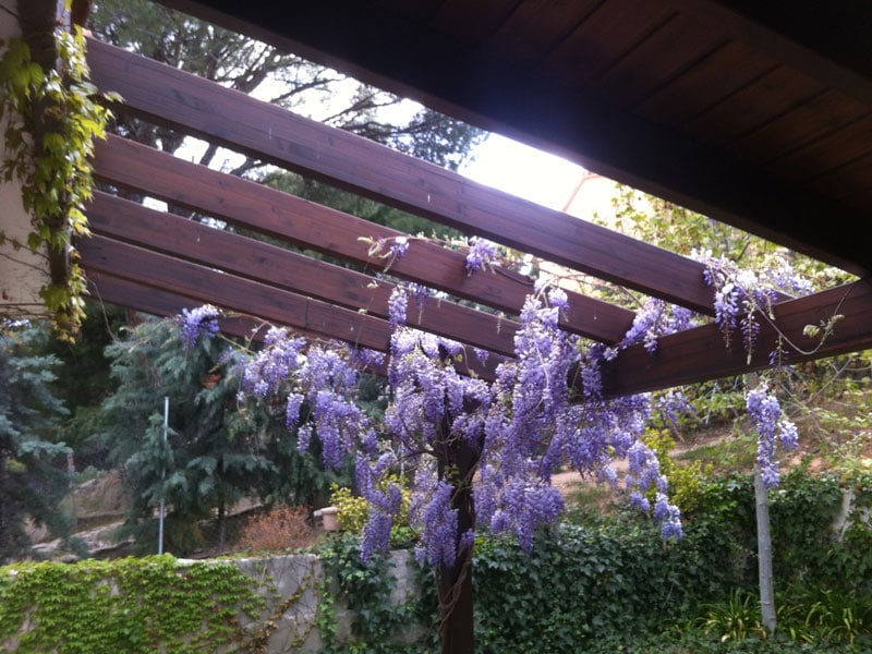 Pérgola de madera