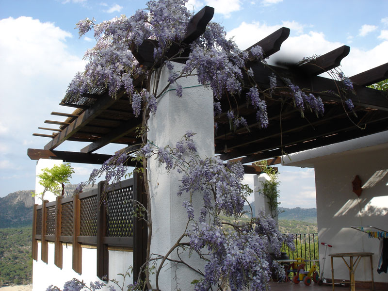 Pérgola de madera